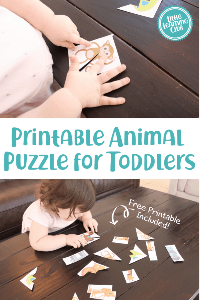 Activities for 2 Year Olds - Little Learning Club